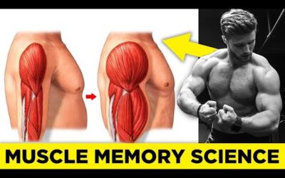 How Long Does It Take Muscle Memory To Kick In?