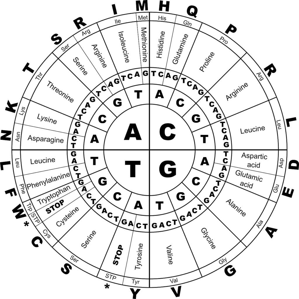 Why do doctors prescribe amino acids?